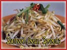 Chinese Food Best Love Sauteed Bean Sprouts